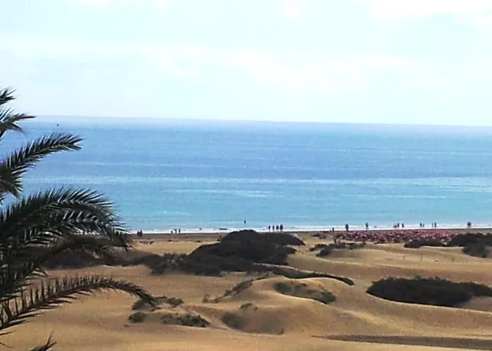 Alsol Patricio פלאייה דל אינגלז